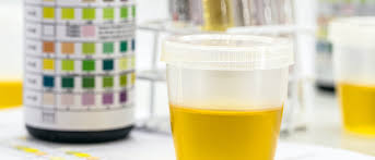 urine drug testing Georgia